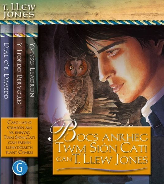 Cover image for Bocs Anrheg Twm Siôn Cati, isbn: 9781785620515