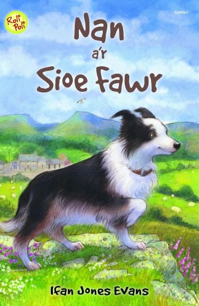 Cover image for Cyfres Roli Poli: Nan a'r Sioe Fawr, isbn: 9781785621093
