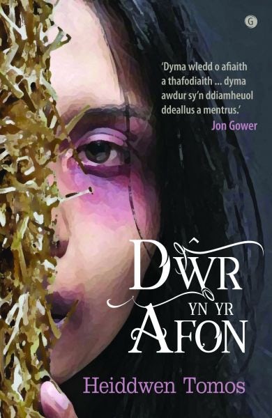 Cover image for Dŵr yn yr Afon, isbn: 9781785622045