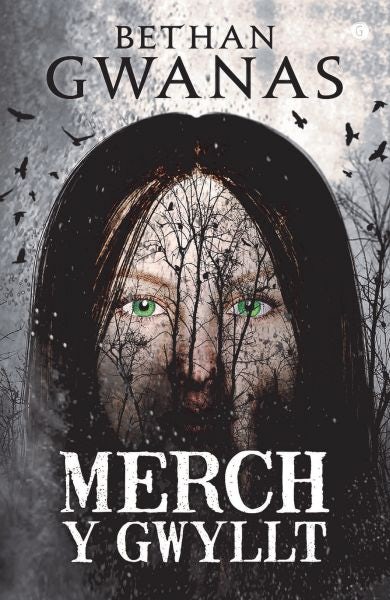 Cover image for Merch y Gwyllt, isbn: 9781785622052