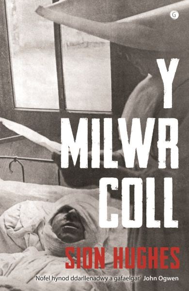 Cover image for Milwr Coll, Y, isbn: 9781785622854
