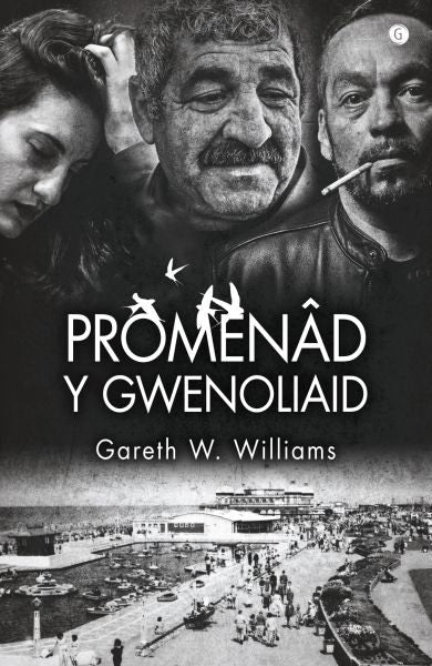 Cover image for Promenâd y Gwenoliaid, isbn: 9781785623042