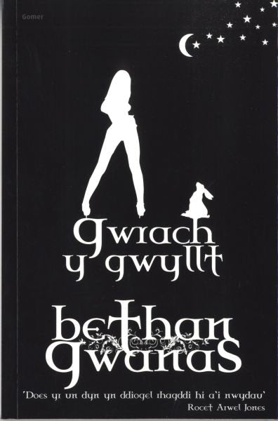Cover image for Gwrach y Gwyllt, isbn: 9781785623691