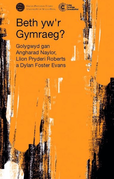 Cover image for Beth Yw'r Gymraeg?, isbn: 9781786839497