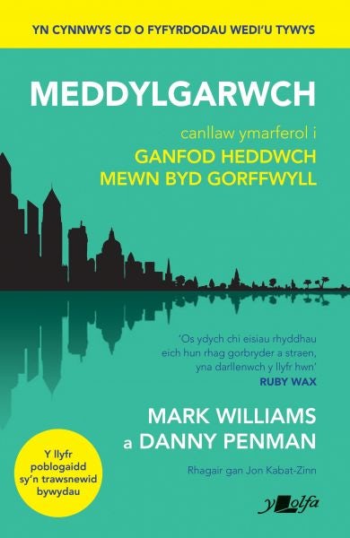 Cover image for Darllen yn Well: Meddylgarwch, isbn: 9781800990128