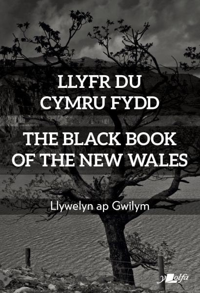 Cover image for Llyfr Du Cymru Fydd / The Black Book of the New Wales, isbn: 9781800990401