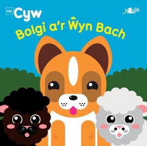 Cover image for Cyfres Cyw: Bolgi a'r Ŵyn Bach, isbn: 9781800990593