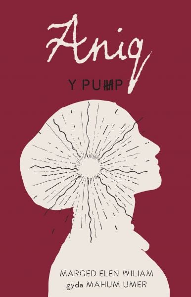 Cover image for Y Pump - Aniq, isbn: 9781800990630