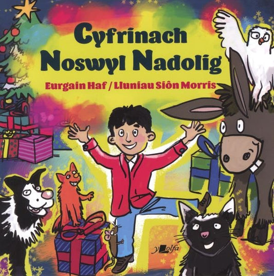 Cover image for Cyfrinach Noswyl Nadolig, isbn: 9781800991187