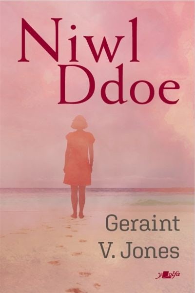 Cover image for Niwl Ddoe, isbn: 9781800991620
