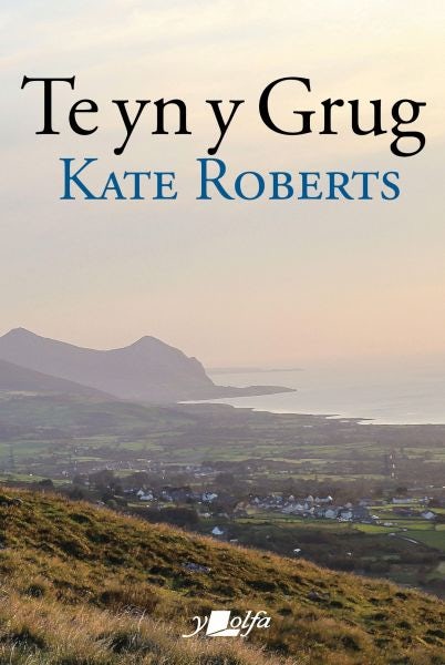 Cover image for Te yn y Grug, isbn: 9781800992337