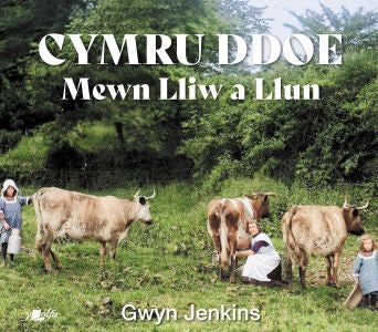 Cover image for Cymru Ddoe Mewn Lliw a Llun, isbn: 9781800992993