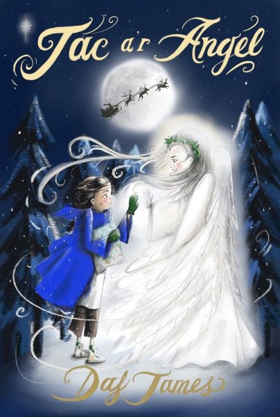 Cover image for Jac a'r Angel, isbn: 9781800993921