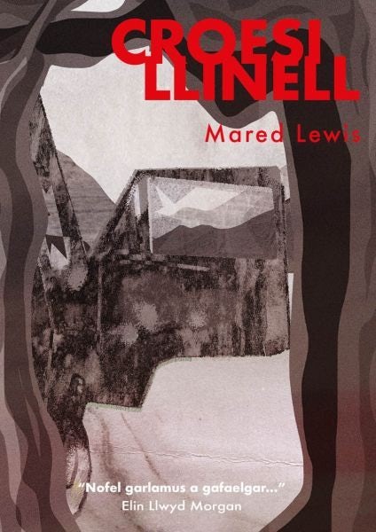 Cover image for Croesi Llinell, isbn: 9781800994362