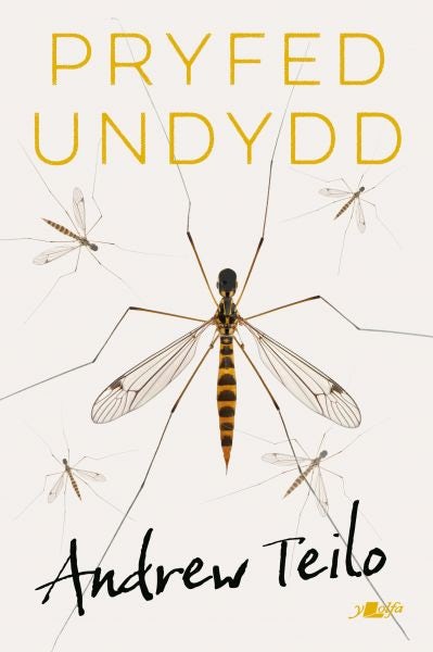 Cover image for Pryfed Undydd, isbn: 9781800994478