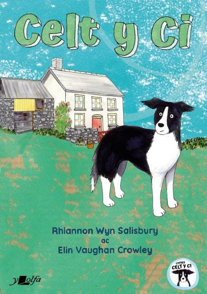 Cover image for Celt y Ci, isbn: 9781800994560
