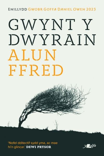 Cover image for Gwynt y Dwyrain, isbn: 9781800994843
