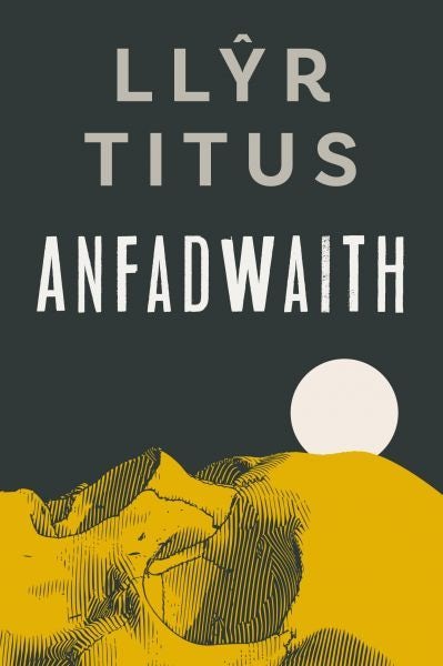 Cover image for Anfadwaith, isbn: 9781800994942