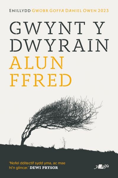 Cover image for Gwynt y Dwyrain, isbn: 9781800995062