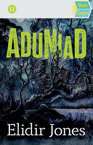 Cover image for Stori Sydyn: Aduniad, isbn: 9781800995154