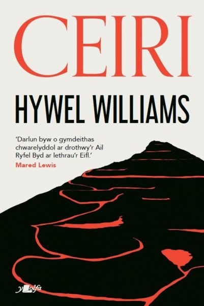 Cover image for Ceiri, isbn: 9781800995536