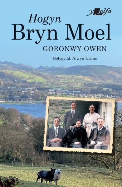 Cover image for Hogyn Bryn Moel, isbn: 9781800995888