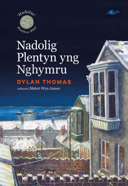 Cover image for Nadolig Plentyn yng Nghymru, isbn: 9781800996120