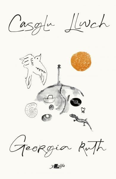 Cover image for Casglu Llwch, isbn: 9781800996861