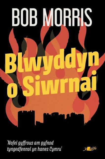 Cover image for Blwyddyn o Siwrnai, isbn: 9781800998667