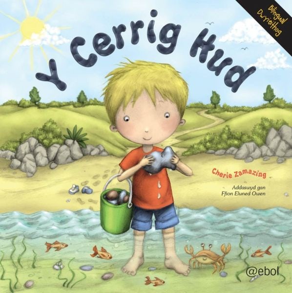 Cover image for Y Cerrig Hud, isbn: 9781801060127