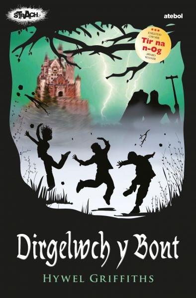 Cover image for Cyfres Strach: Dirgelwch y Bont, isbn: 9781801061162