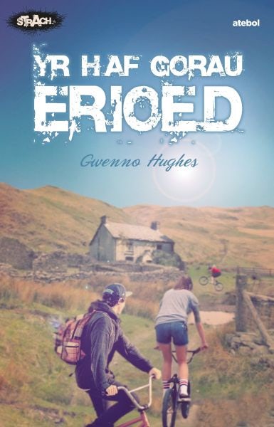 Cover image for Cyfres Strach: Yr Haf Gorau Erioed, isbn: 9781801061209