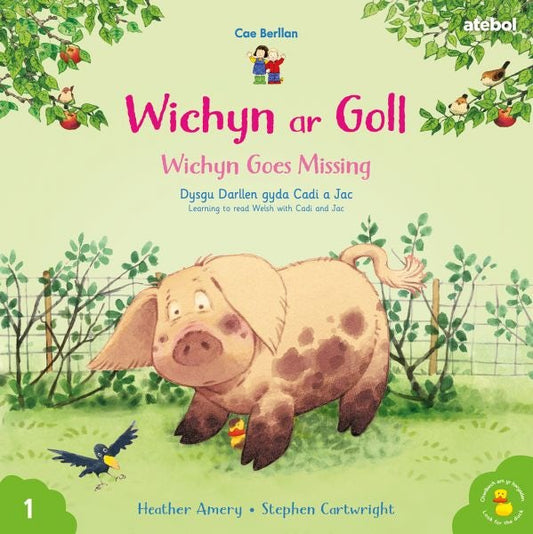 Cover image for Wichyn ar Goll / Wichyn Goes Missing Cyfres Cae Berllan, isbn: 9781801062367