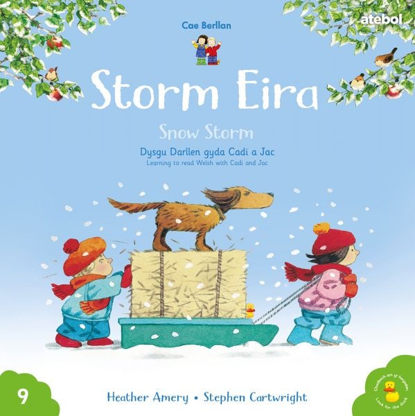 Cover image for Storm Eira / Snow Storm Cyfres Cae Berllan:, isbn: 9781801062381