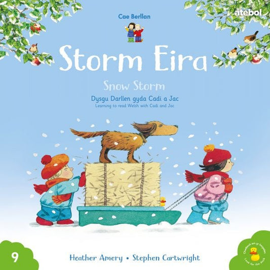 Cover image for Storm Eira / Snow Storm Cyfres Cae Berllan:, isbn: 9781801062381