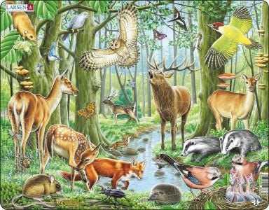 Cover image for Jig-So Anifeiliaid y Goedwig, isbn: 9781801062428