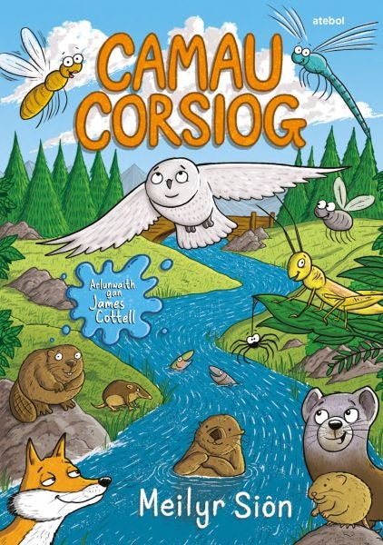 Cover image for Camau Corsiog, isbn: 9781801062619