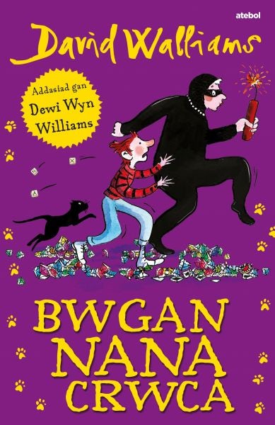 Cover image for Bwgan Nana Crwca, isbn: 9781801062626