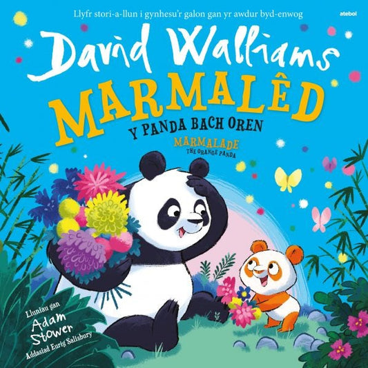 Cover image for Marmalêd - Y Panda Bach Oren / Marmalade - The Orange Panda, isbn: 9781801062701
