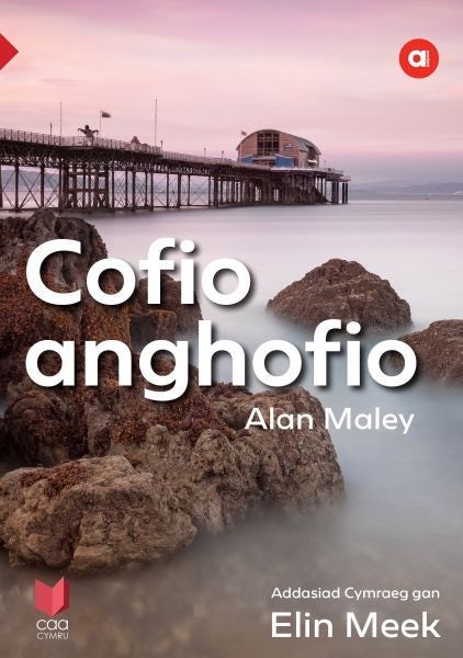 Cover image for Cyfres Amdani: Cofio Anghofio, isbn: 9781801062787