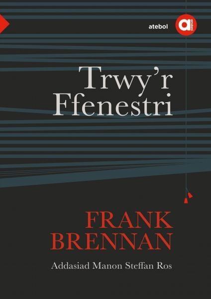 Cover image for Cyfres Amdani: Trwy'r Ffenestri, isbn: 9781801063128