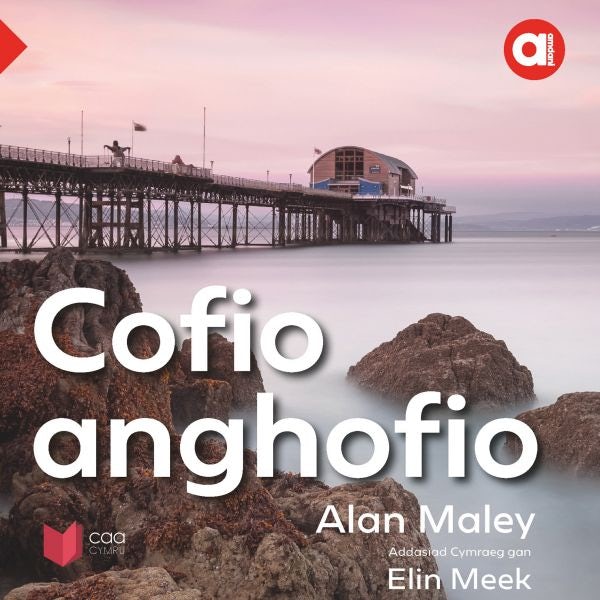 Cover image for Cyfres Amdani: Cofio Anghofio, isbn: 9781801063159