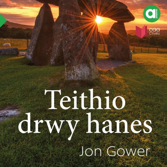 Cover image for Cyfres Amdani: Teithio Drwy Hanes, isbn: 9781801063210