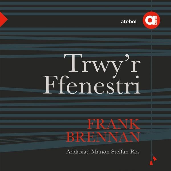 Cover image for Cyfres Amdani: Trwy'r Ffenestri, isbn: 9781801063227