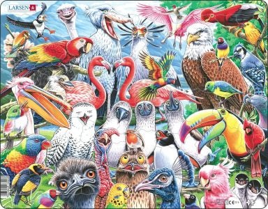 Cover image for Jig-so Adar Hapus o Bob Rhan o'r Byd / Cheerful Birds From All Over the World Jigsaw, isbn: 9781801064590