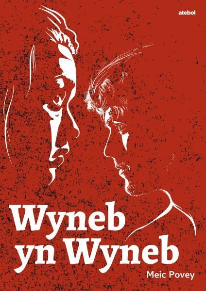 Cover image for Wyneb yn Wyneb, isbn: 9781801065115