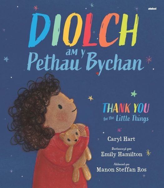 Cover image for Diolch am y Pethau Bychan, isbn: 9781801065689