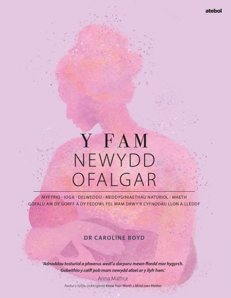 Cover image for Y Fam Newydd Ofalgar: Gofalu am dy Gorff a dy Feddwl fel Mam drwy'r Cyfnodau Llon a Lleddf, isbn: 9781801066105