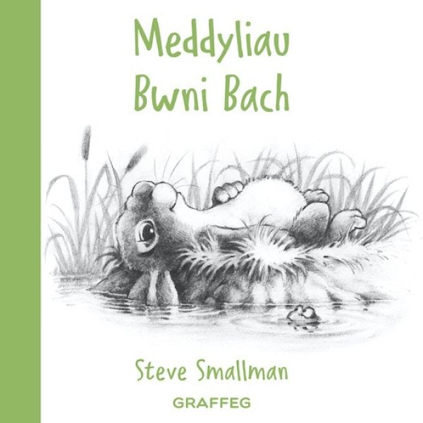 Cover image for Meddyliau Bwni Bach, isbn: 9781802580099