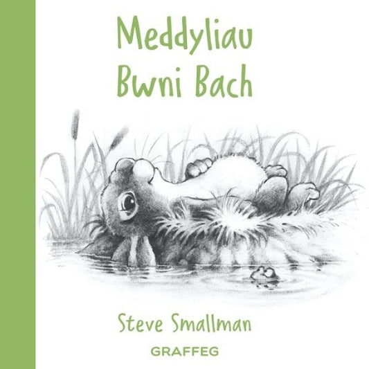 Cover image for Meddyliau Bwni Bach, isbn: 9781802580099